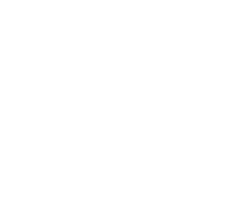 Sasaka Indonesia - Bridge of the Nation